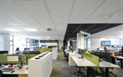 Open-Plan Office Acoustics: Enhancing Productivity and Well-being in New Zealand Workplaces